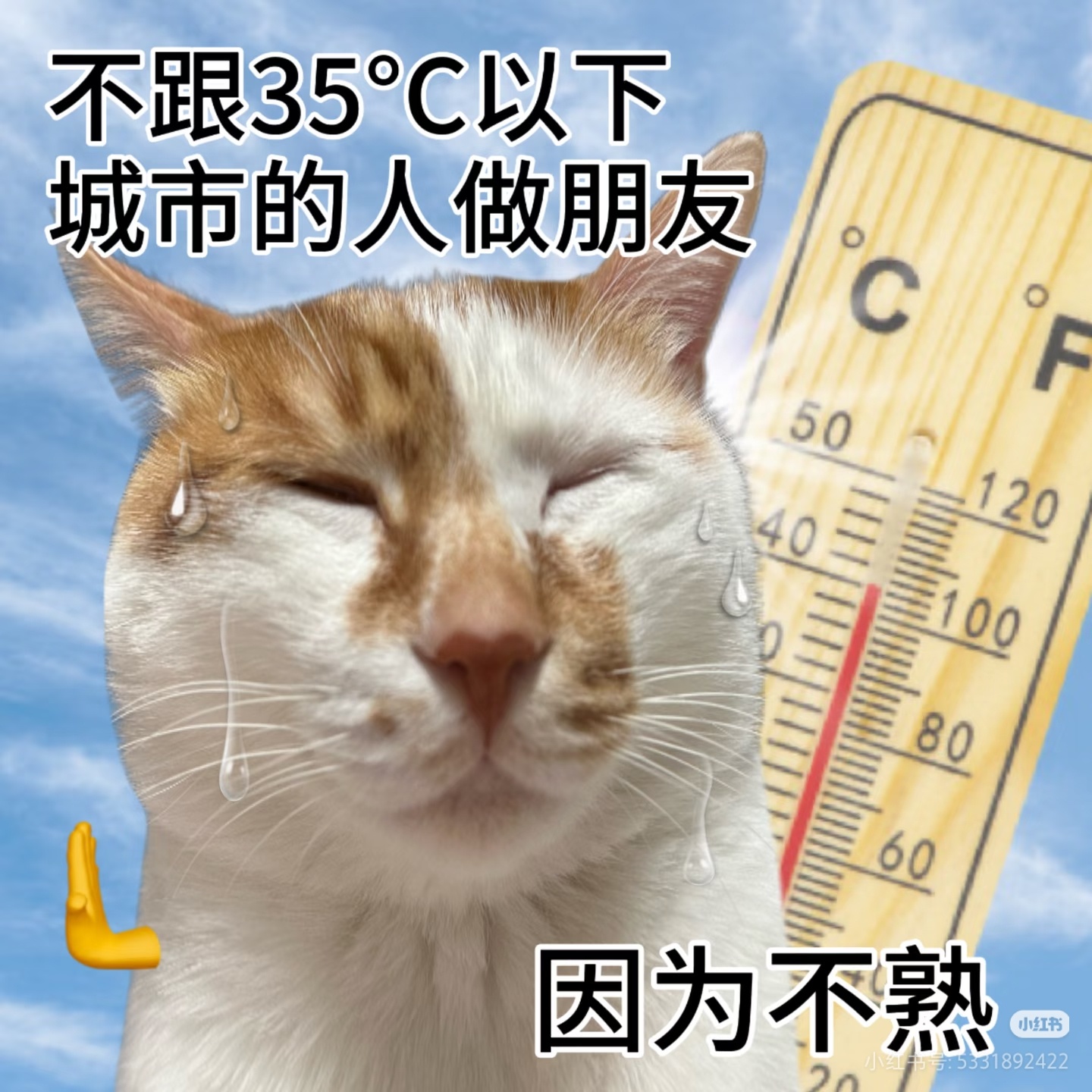 梵高为什么带不了口罩？因为他只有一只耳朵 