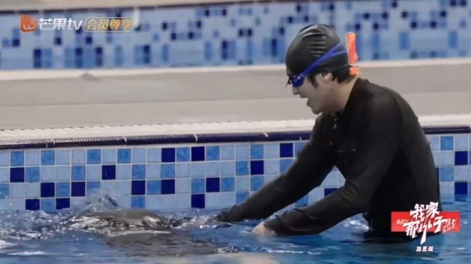 离了我家那小子谁还逗我笑  武艺是什么先天综艺圣体，学游泳以为鼻子在水下可以吸气