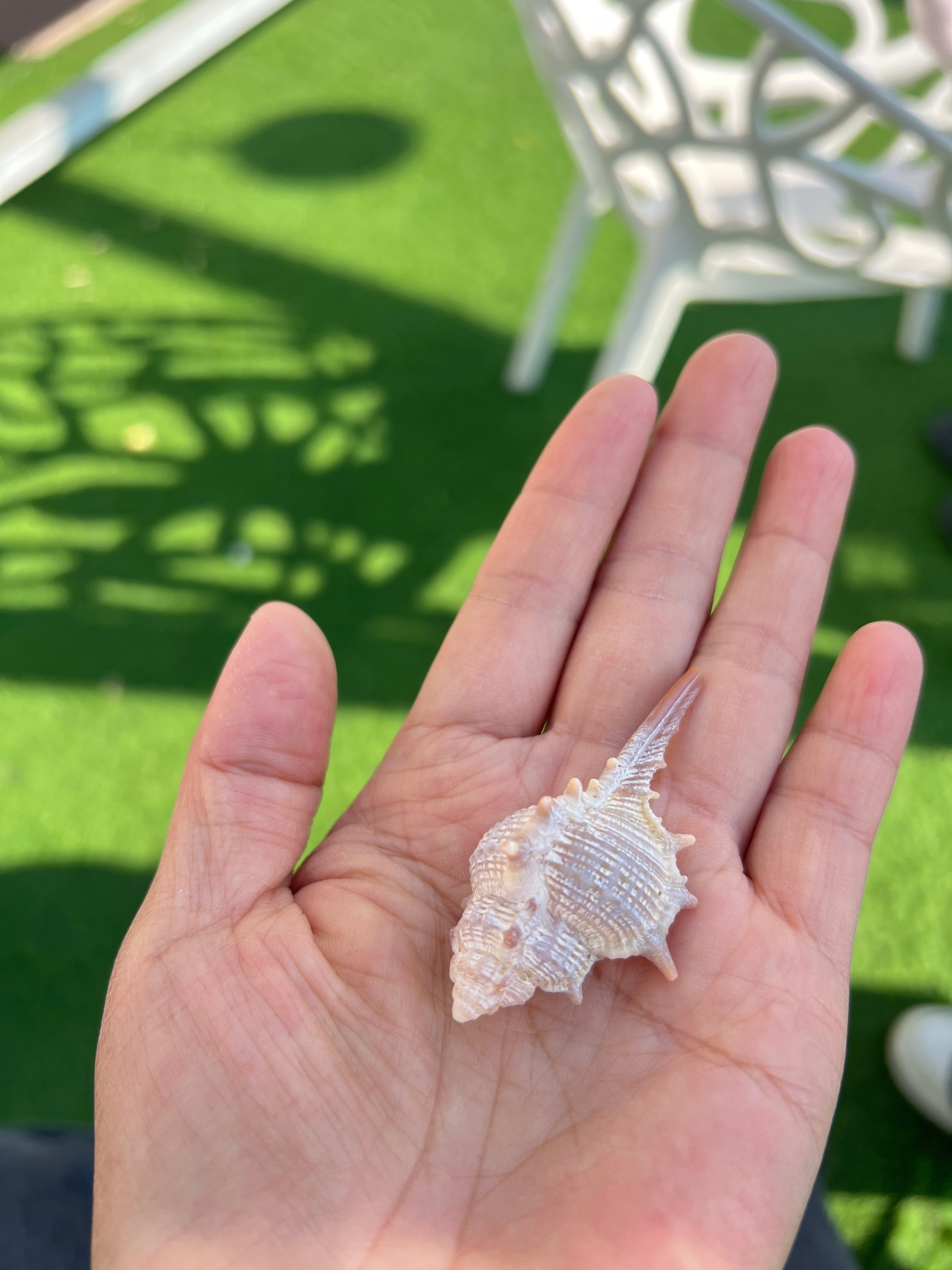 发朋友圈前先回复消息你是怎么哄自己上班的有时候为了不显得很刻意，我回复完后还会等