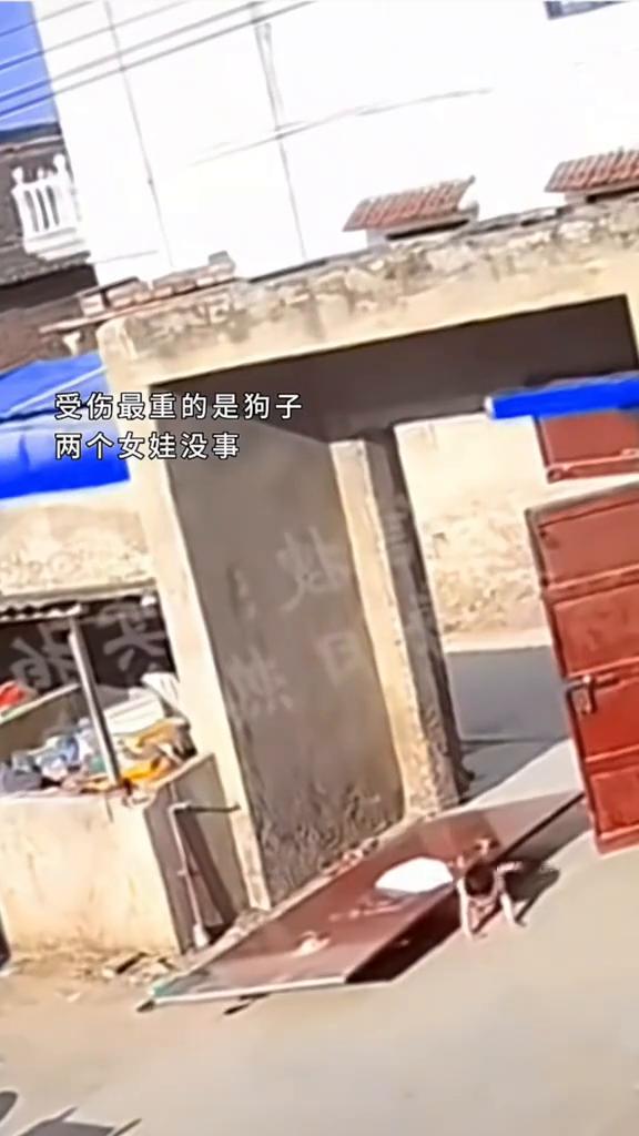 哈哈哈。