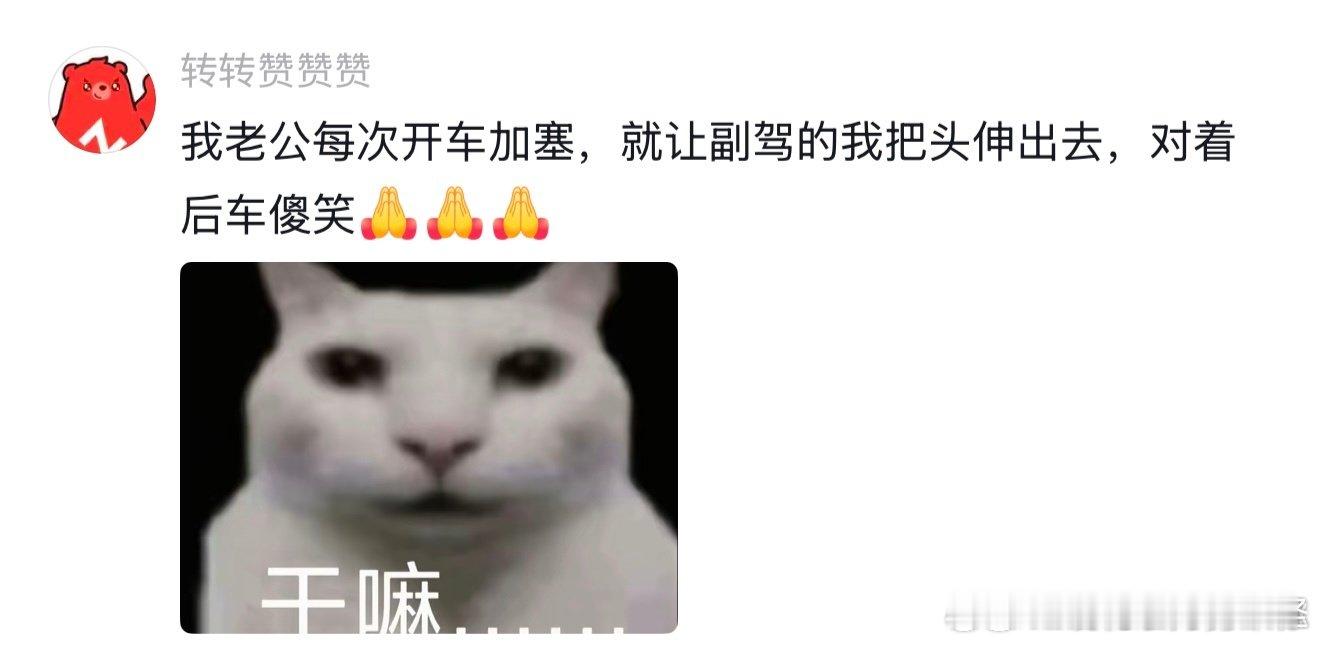 有品的人开车都这样100种表达爱的方式 （