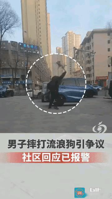 青海西宁，发生一起令人发指的事件。一男子遛狗时没拴绳，自家狗与流浪狗交配。男子非