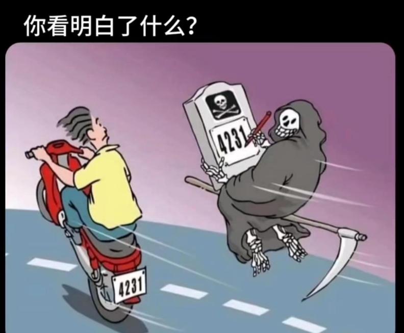 你看明白了什么?