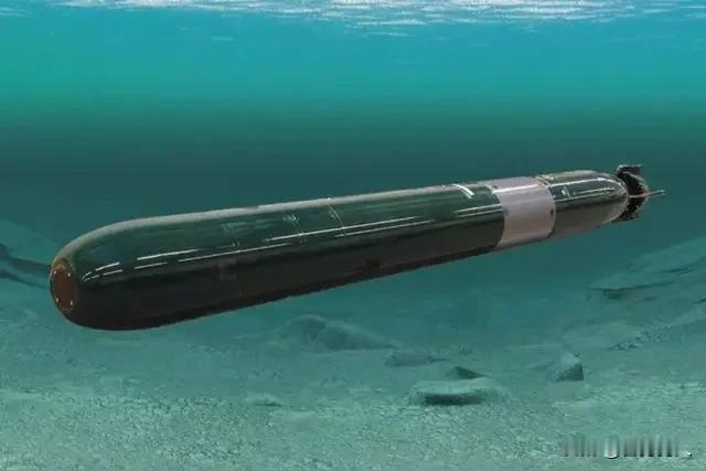 最近，俄罗斯公开了两款大杀器：“海燕”核动力巡航导弹；“波塞冬”核鱼雷。以核反应