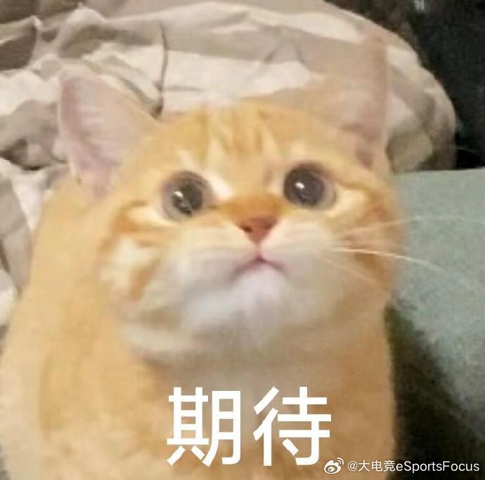 晚上好～你最想在MSI看到哪两队交手呢？大电竞分享