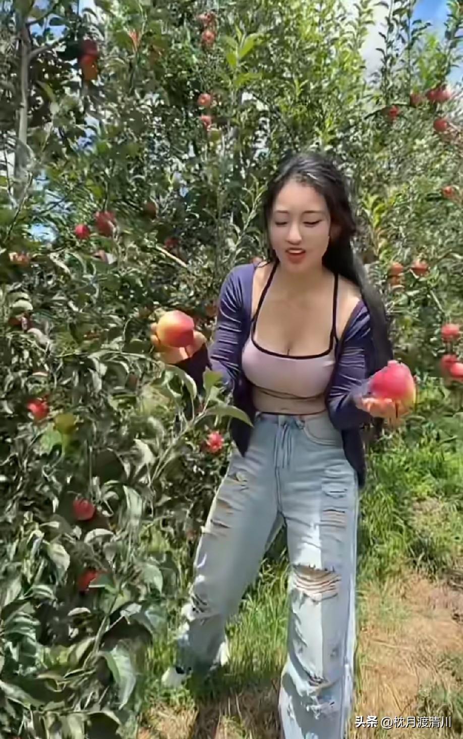 这桃子确实又大又安逸[呲牙]