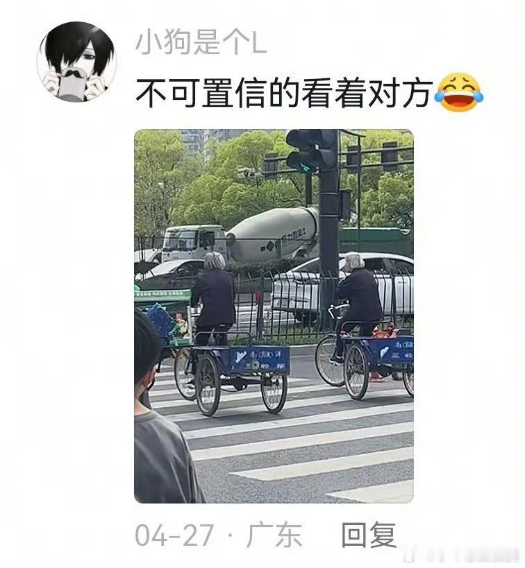 头一次见老胞胎感觉我和我的朋友老了以后就会这样上路买菜。