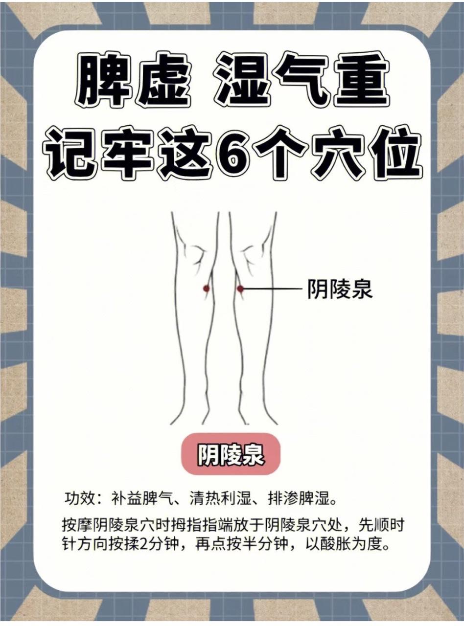 脾虚，湿气重，牢记这六个穴位，轻松祛湿！

1.阴陵泉

 2.承山穴

3. 