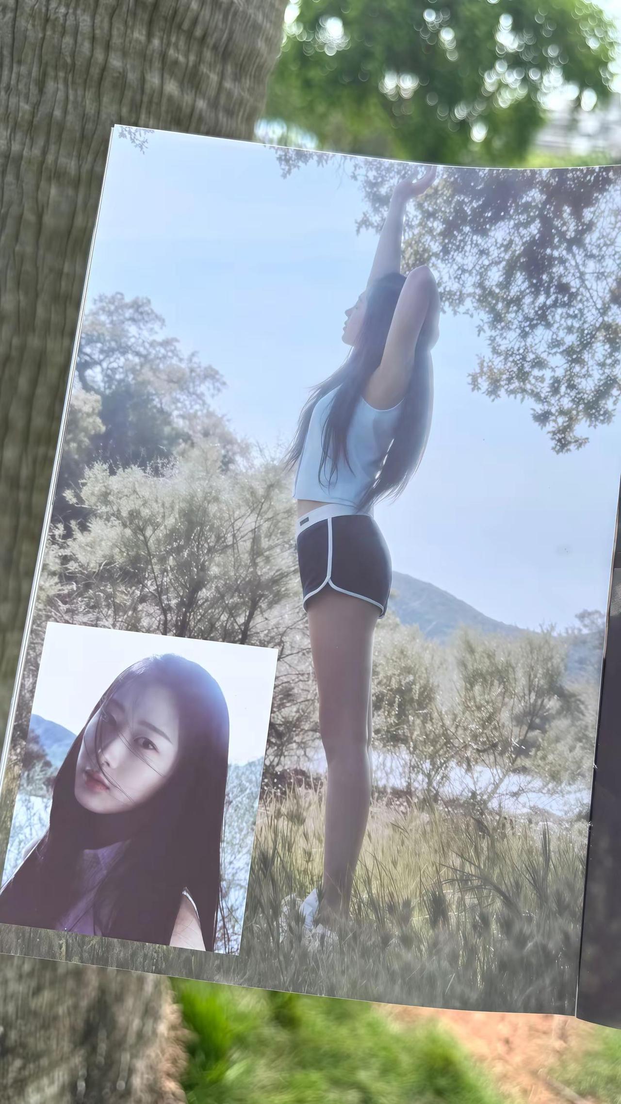 回到那个夏天。Giselle