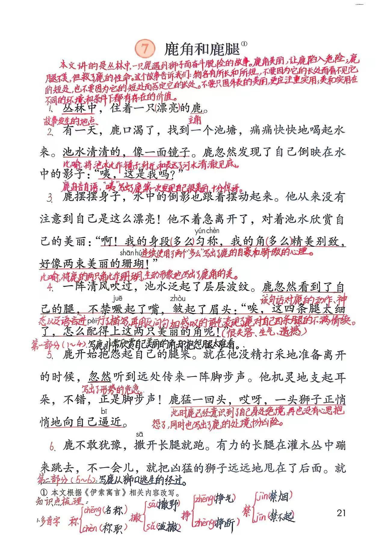 新版三下语文第7课：《鹿角和鹿腿》笔记
