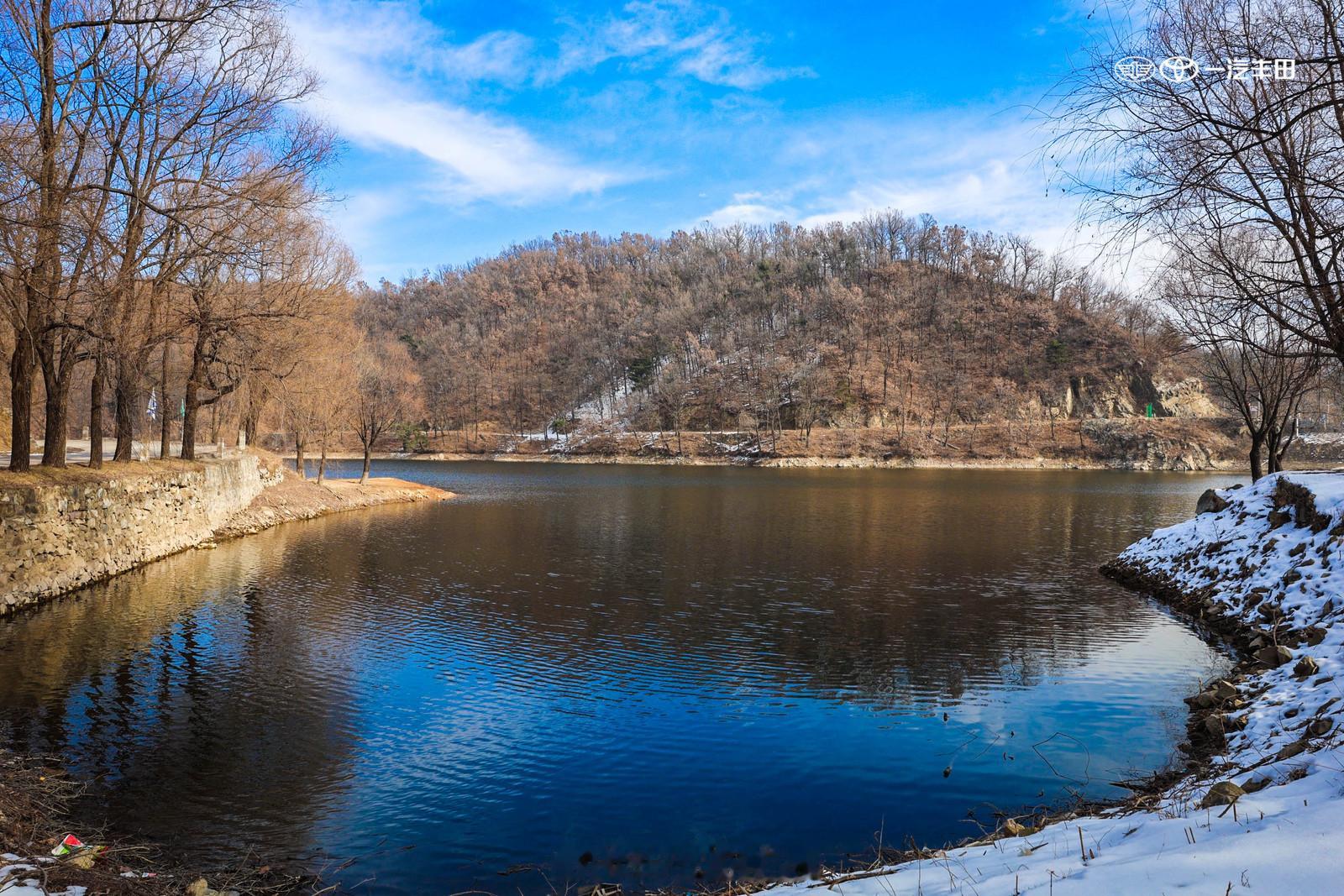本田中国工厂将停产参考消息报道，不是小道消息，原因是由于半导体短缺，日本和中国工