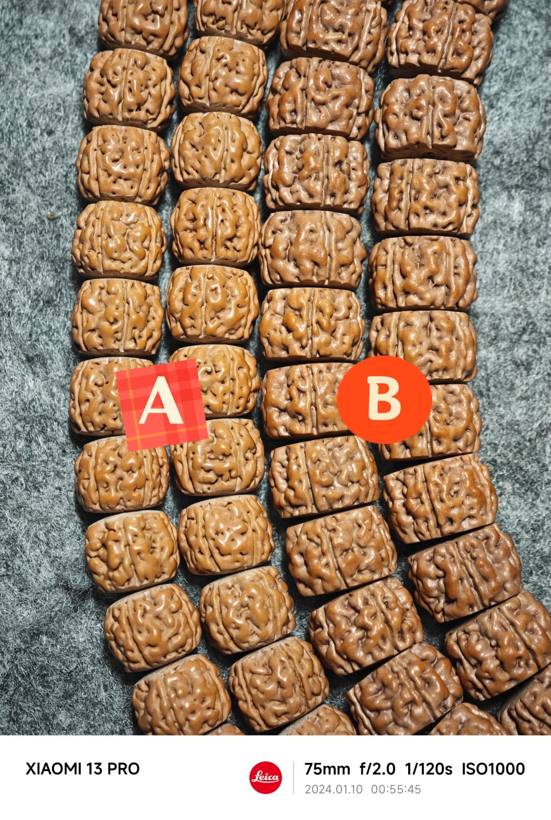 NO.359 这俩货是一个品种？