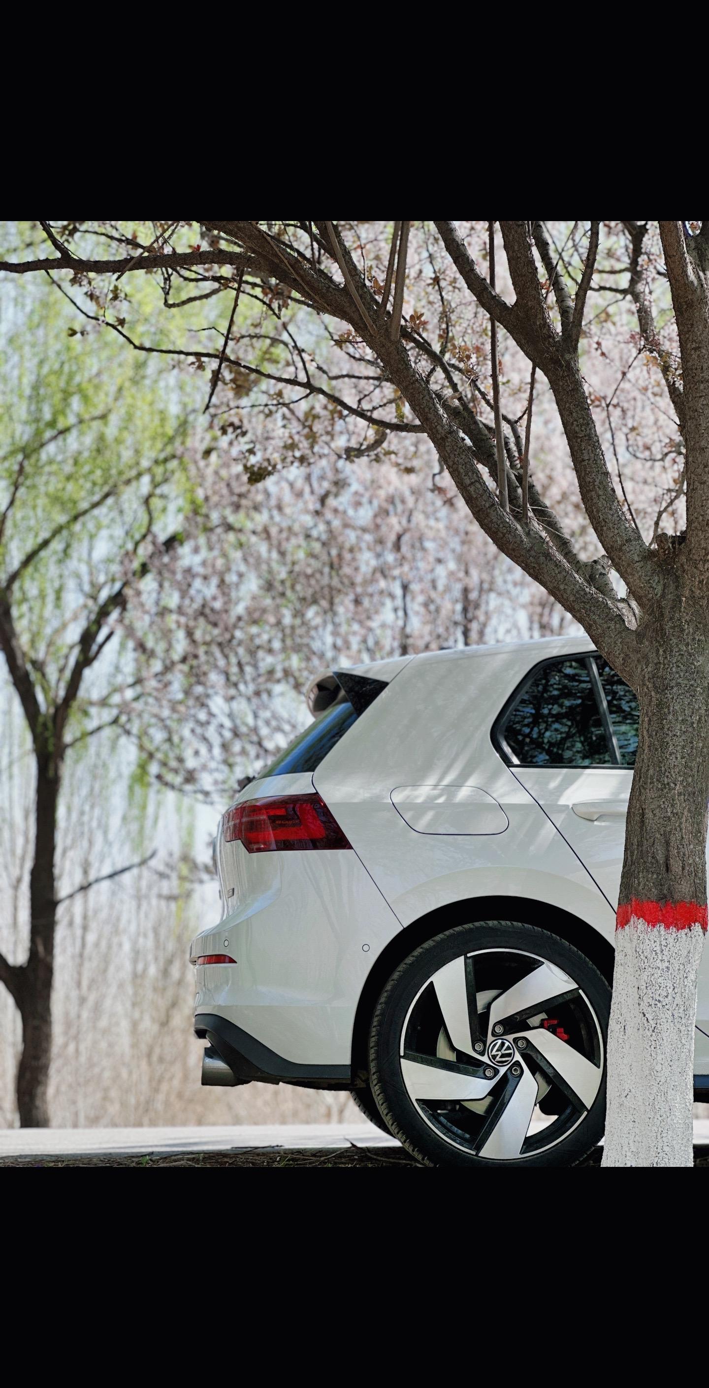 风景是免费的，前提你得出发