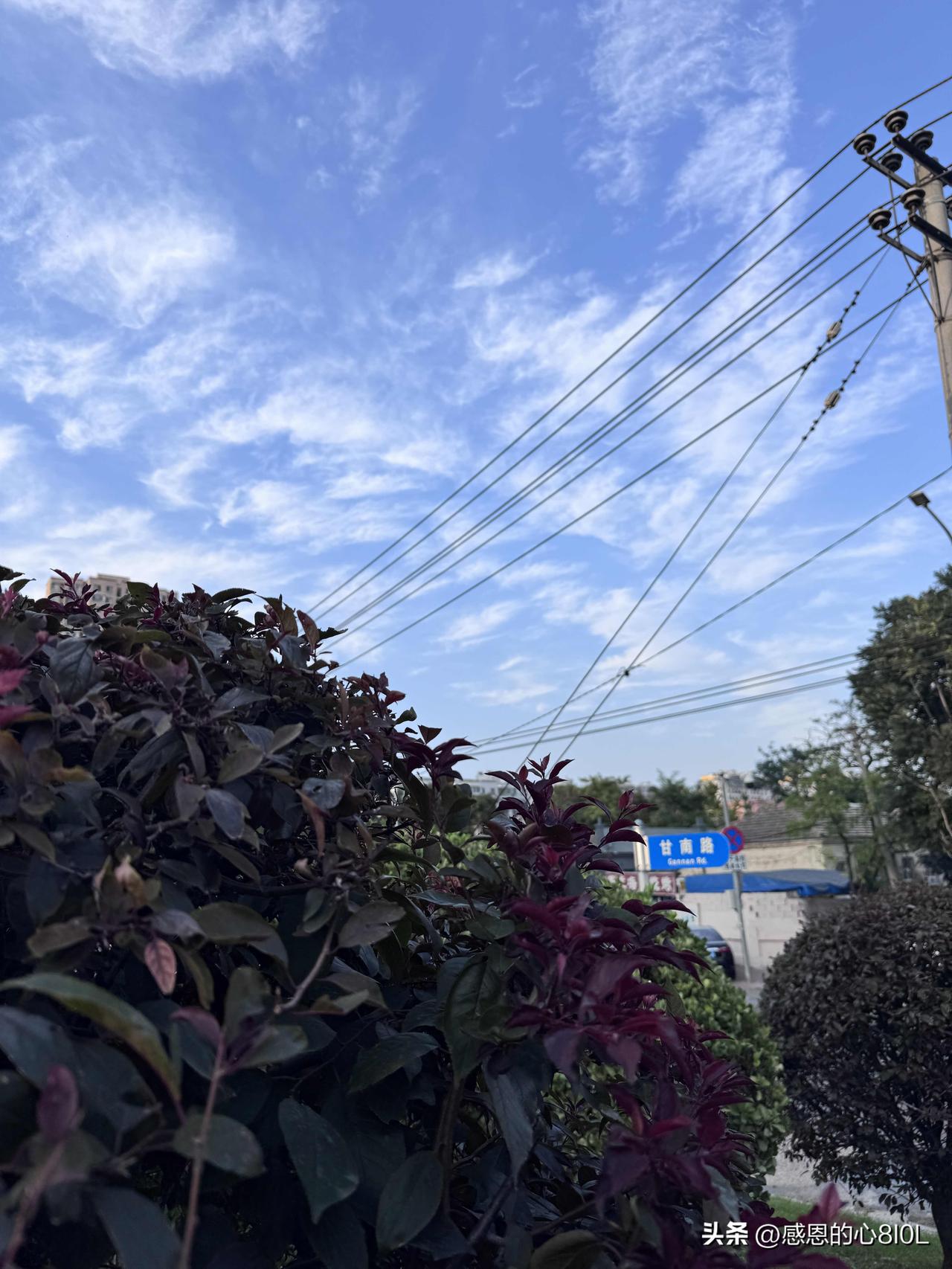 84岁的她，拄着拐杖，一个人走进寿衣店。

老板还以为她是给老伴、给孩子买，随口