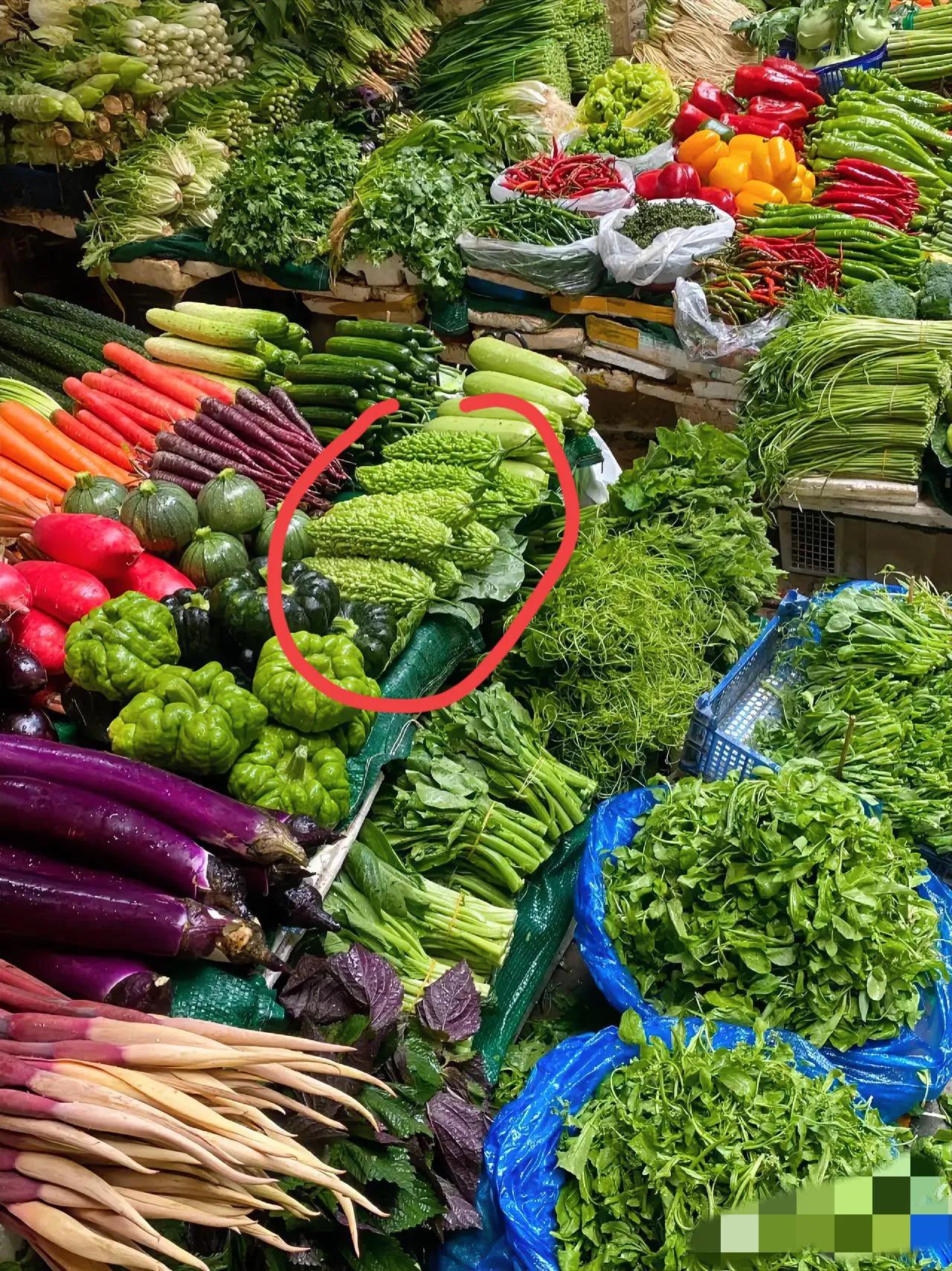 江苏靖江街头这场闹剧，

看得人心里发堵。

一个在菜市场码菜都要摆得整整齐齐、