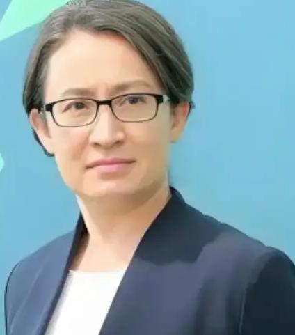 台湾问题一天不解决，欧美，日本，立陶宛……和一些反华国家，就会天天拿台湾来牵制我