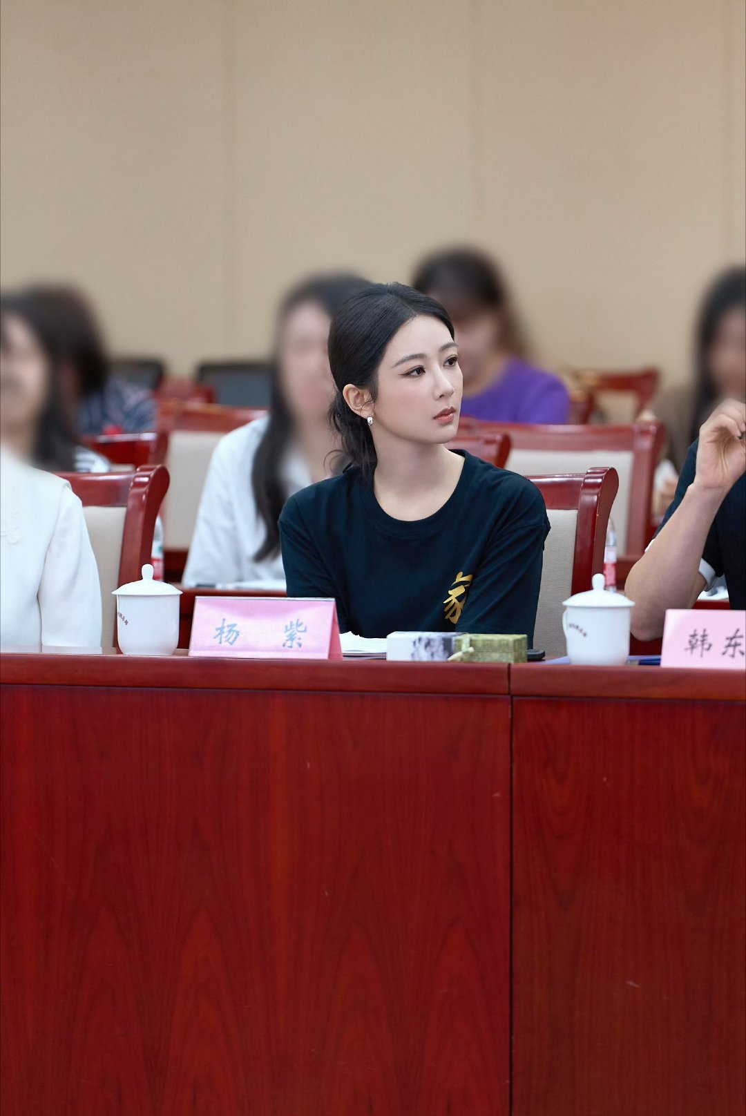 杨紫 蹲一个高干题材作品杨紫玉兰花开君再来 yz 杨紫家业  ᑡ杨紫家业 李祯O
