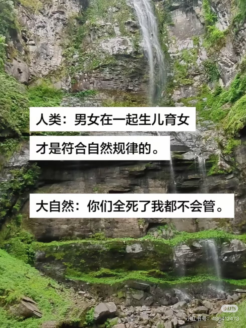我爱大自然 