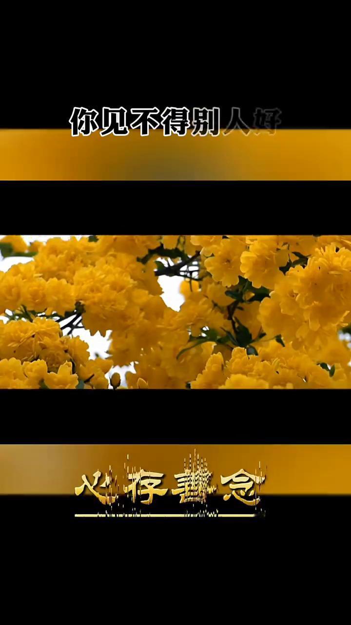 心存善念。
你见不得别人好，别人未必不好，但你肯定不好，因为你内心没有美好。你希