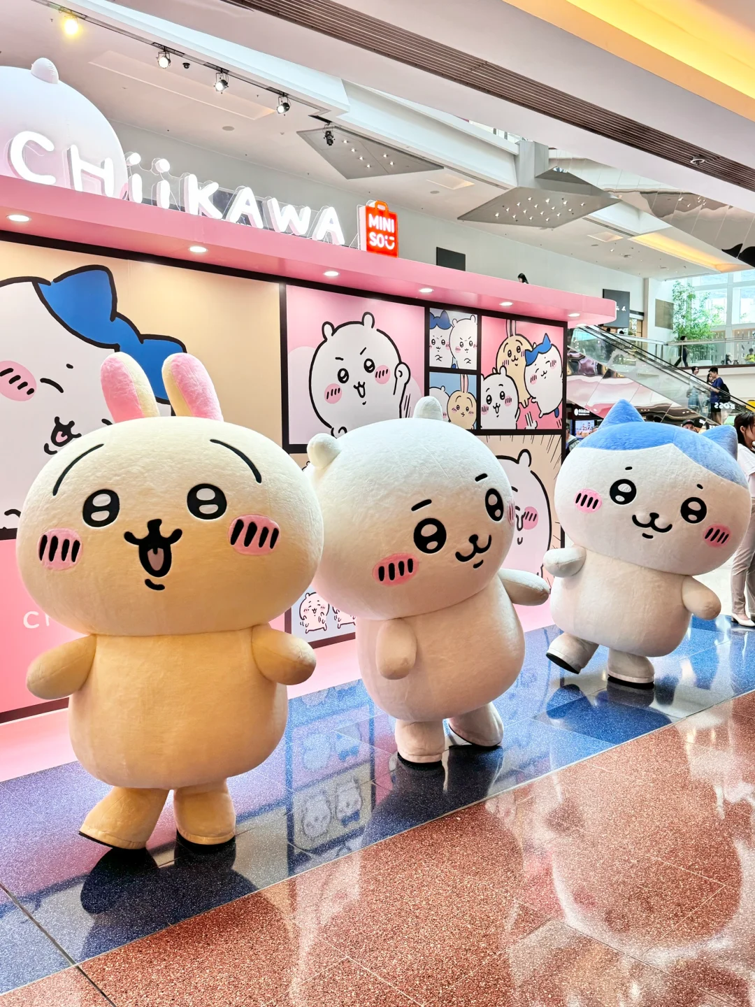 啊啊啊啊香港有chiikawa人偶见面会！！！！