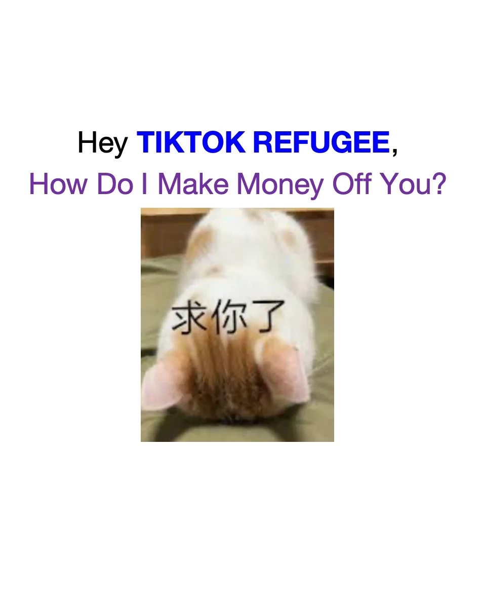 Hey Foreigners, How Do I Make Money Off