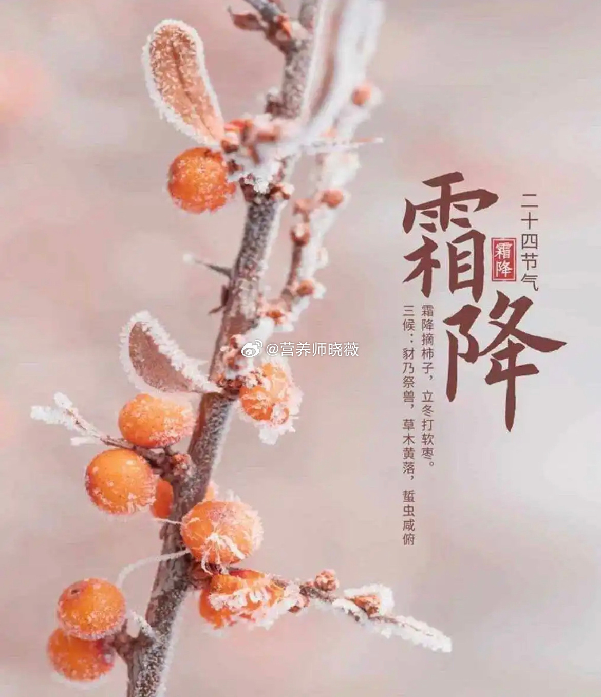 #霜降的硬核养生##中医式生活##霜降##健康一秋# 倚槛穷双目，疏林出远村；秋