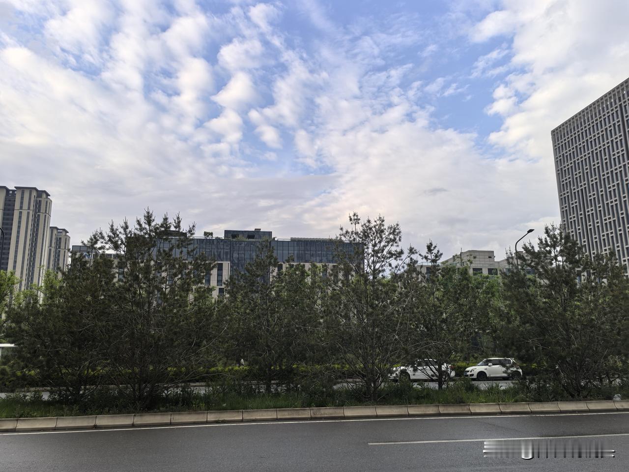 也许，这与昨天晚上下的一场大雨有关。昨晚的雨很大很响，早晨走在路上，能嗅到空气中