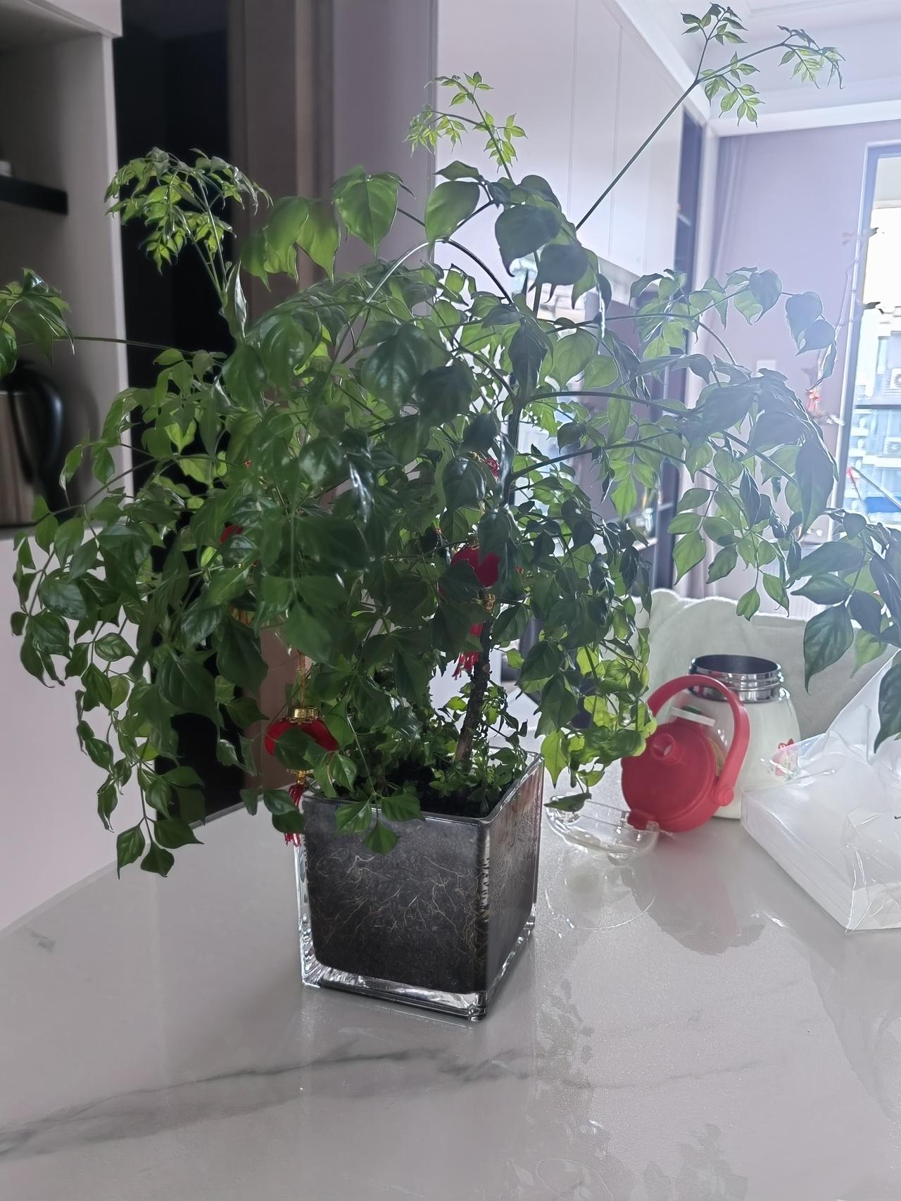 你怎么看:
“看透不说透，还是好朋友”这句话？