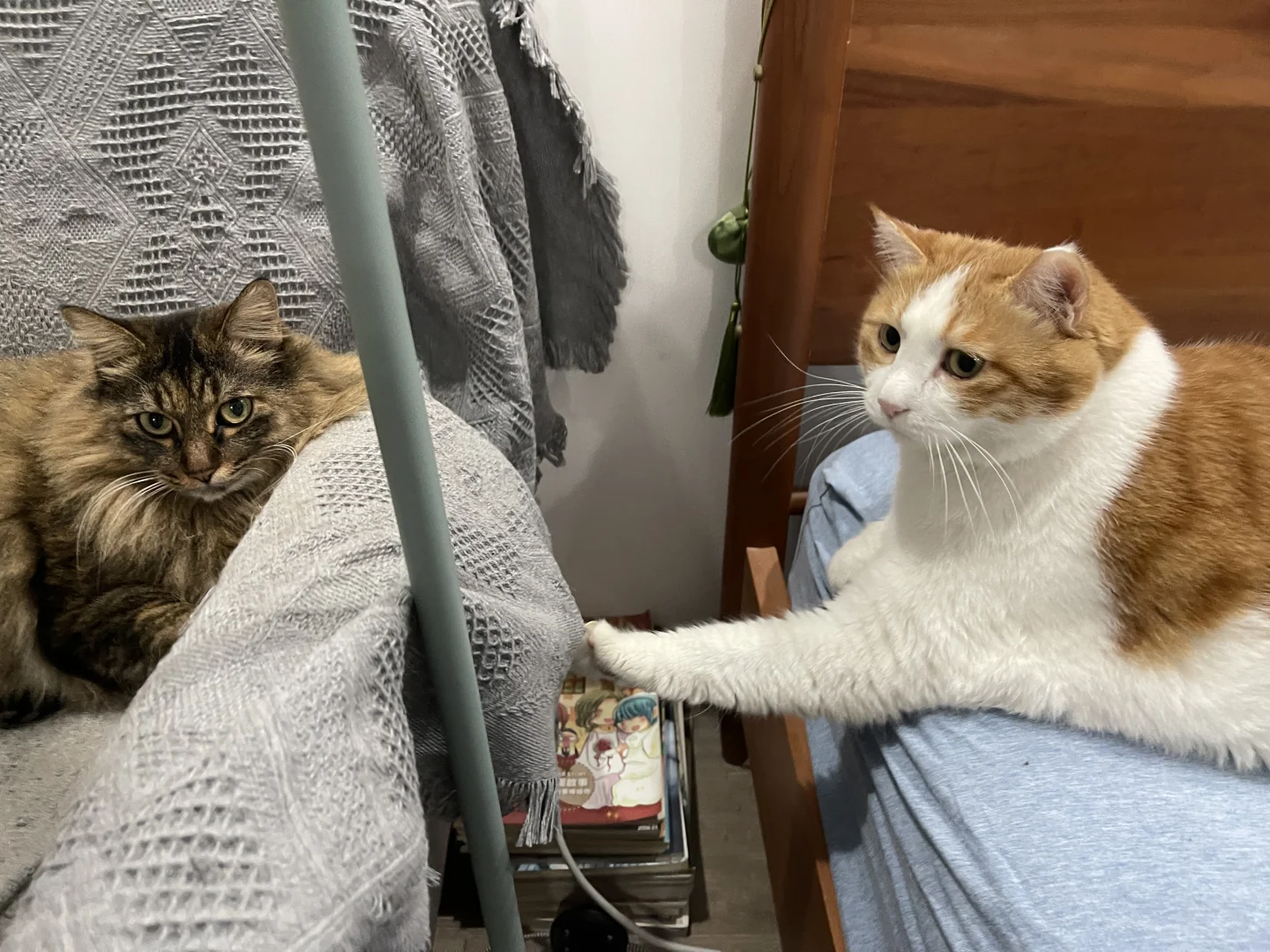 让你别惹她🙄