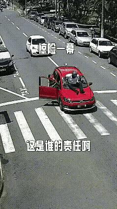 斑马线上，一条小狗走在斑马线上正在过马路，一辆红色轿车看见小狗狗过马路，在斑马线