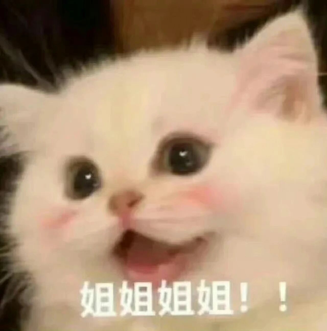 宝宝什么时候来广东搞个线下活动，想你了