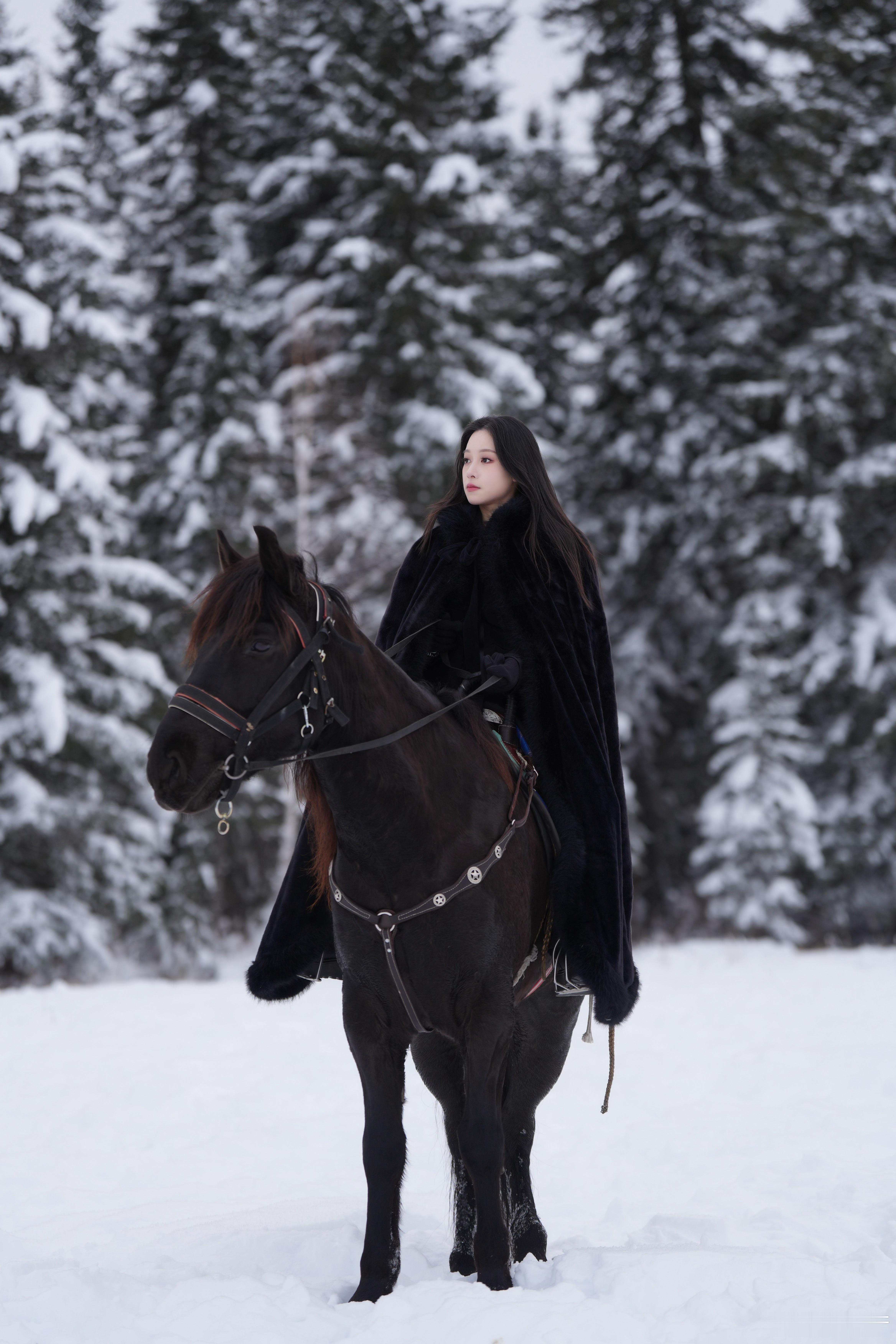 阿勒泰·禾木🐎 