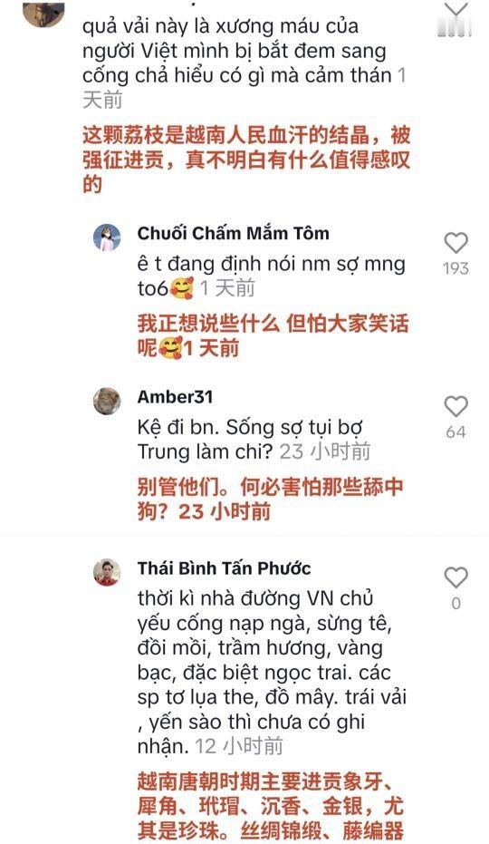越南在看中国古代历史剧的时候，总是带入自己是受害者的角色，就令人很纳闷，哪怕是吃