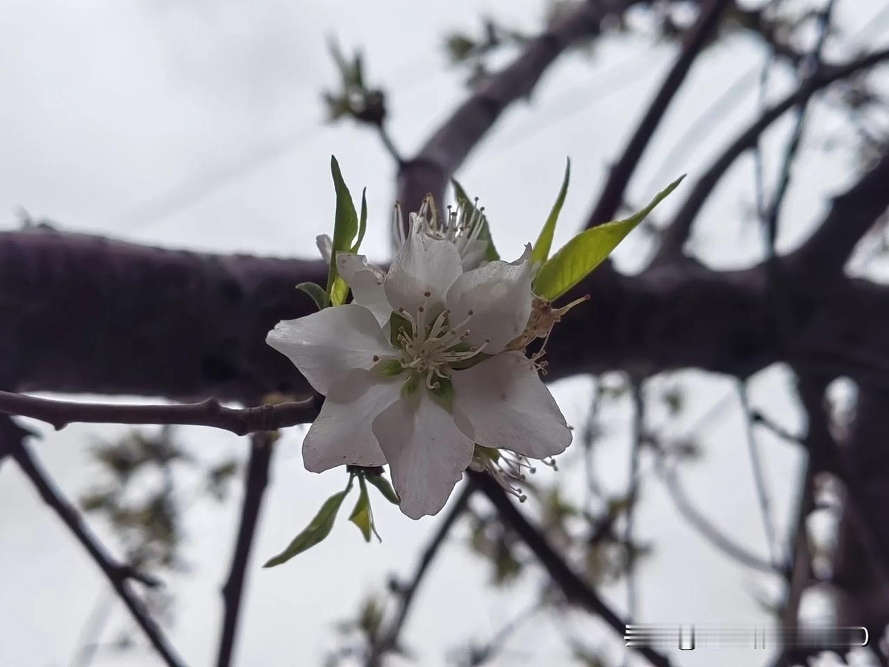 春末夏初，美景正盛[耶]

中年人碎碎念
