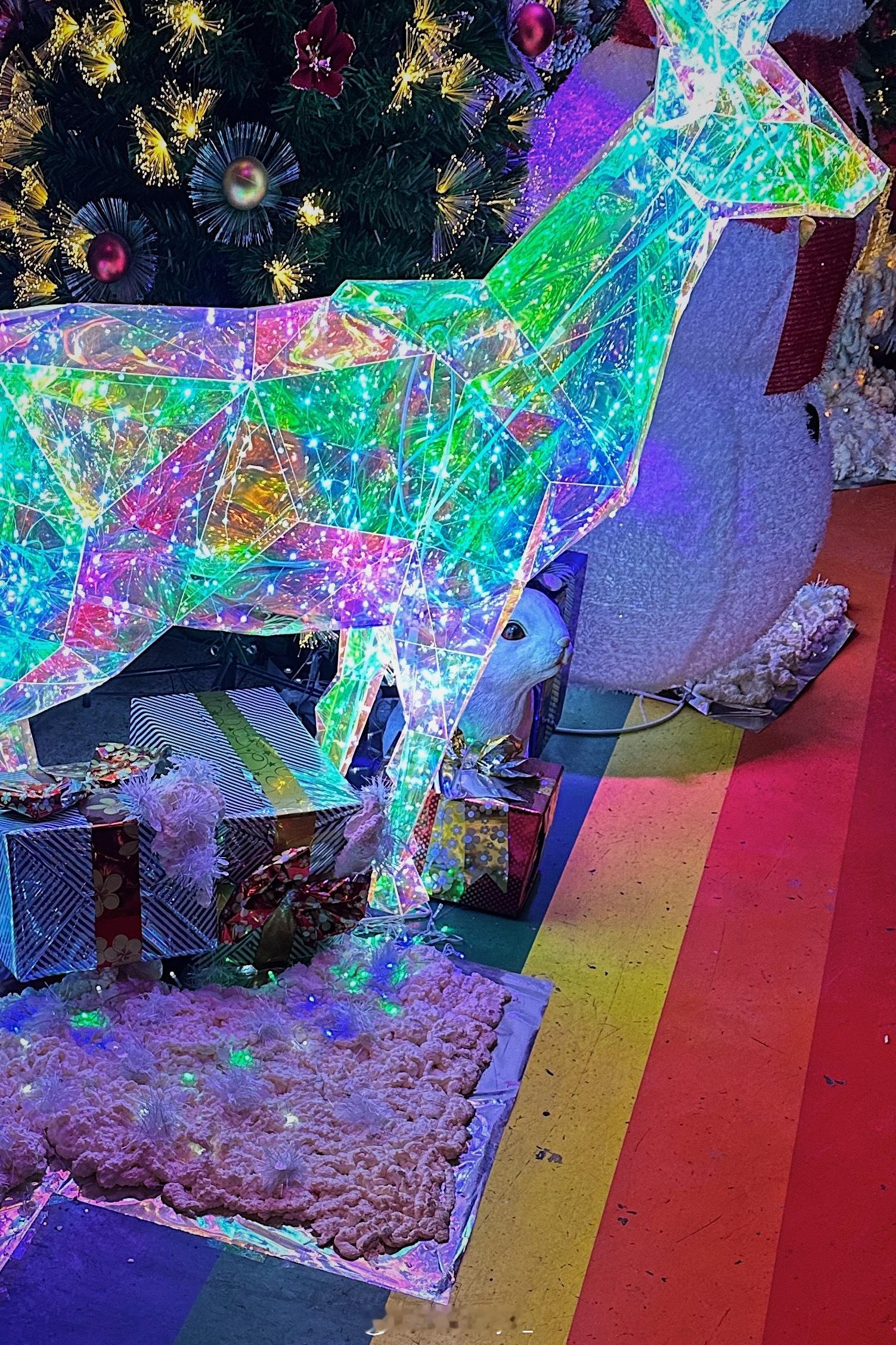 最近在路边划拉的一些圣诞树。祝朋友们节日快乐，随时拥有P12那位肆意撒气放弃营业