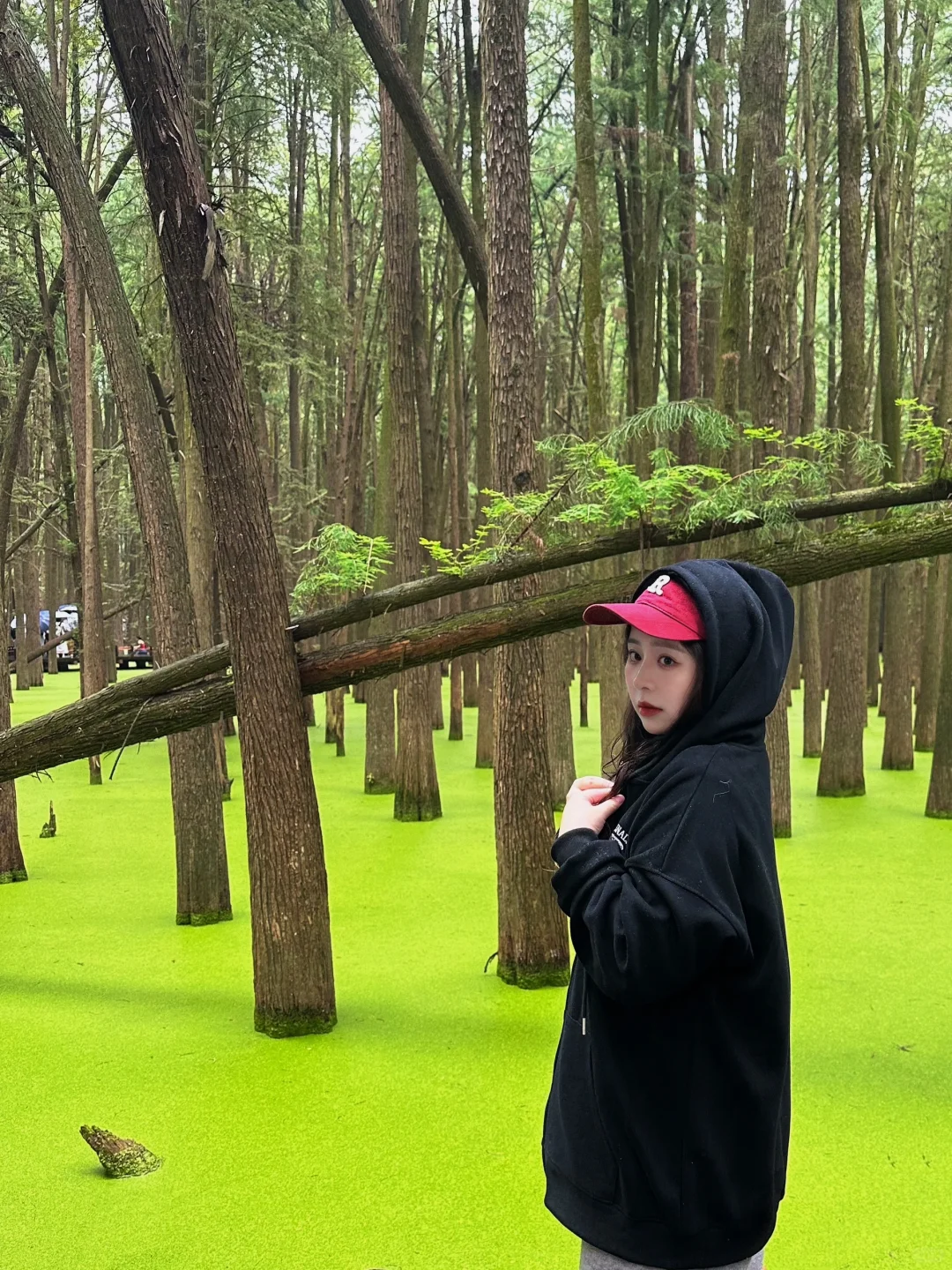 亲近大自然的一天🌳再晚就看不到啦