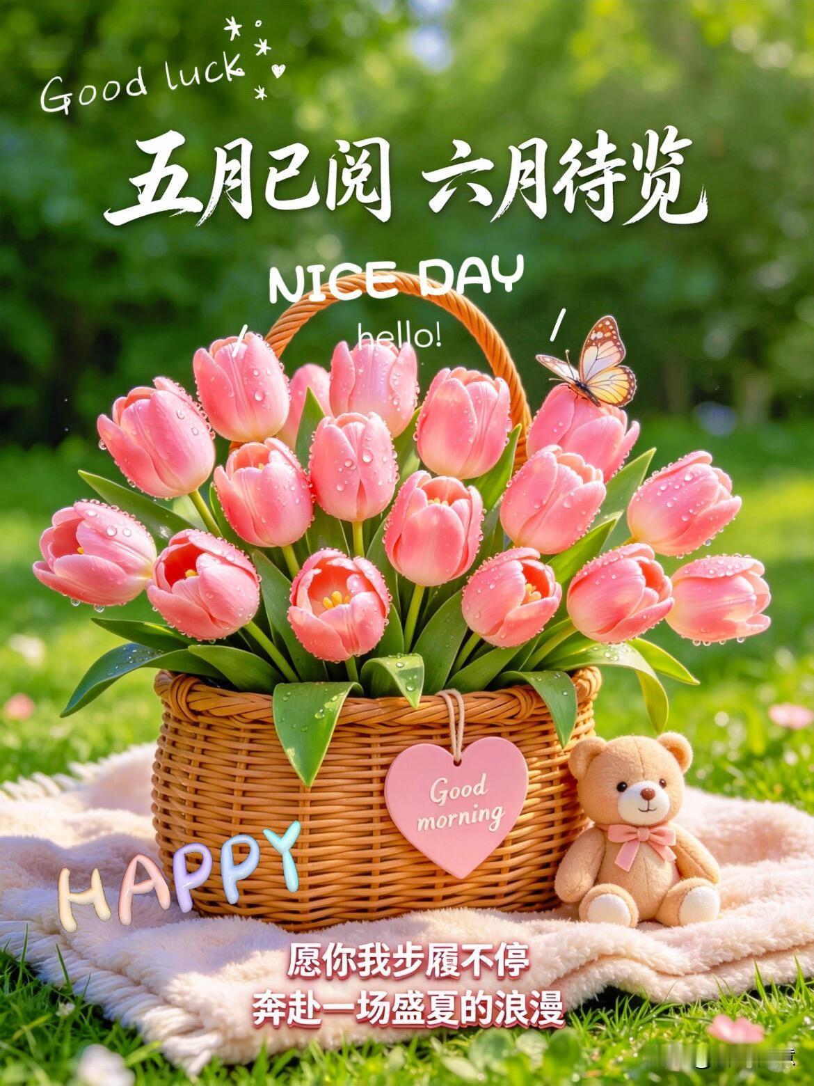 今天是五月的最后一天，春末的温柔渐渐散去，夏日的气息扑面而来。和五月认真道别，将