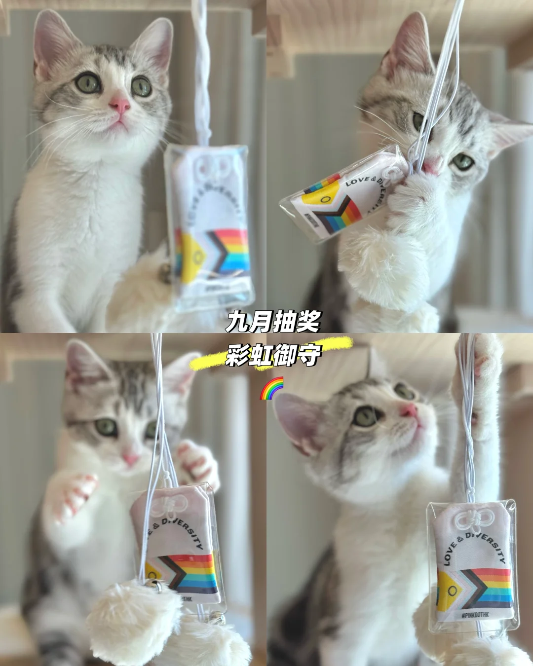 九月抽奖来啦🎉🎁