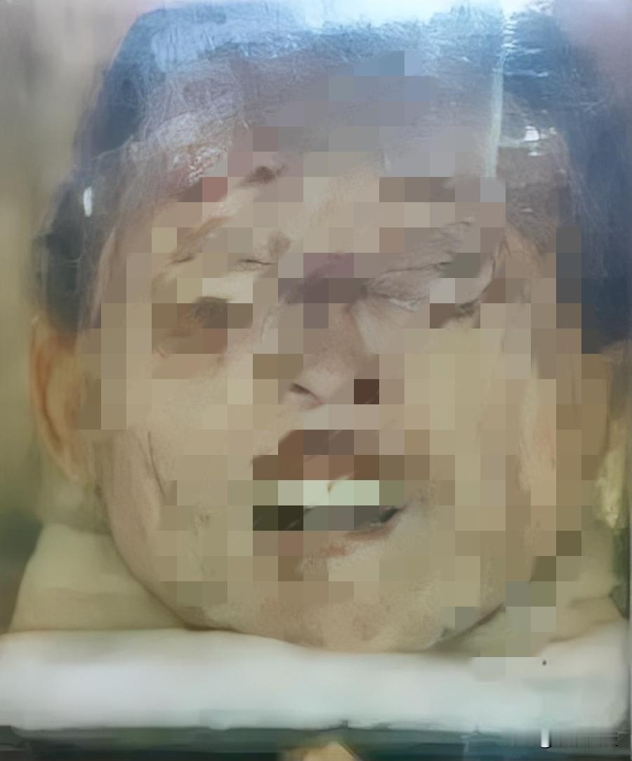 铁血忠魂终归乡 陈翰章身首终合一 七三载盼得归期!
 
百年漂泊，陈翰章的头颅终