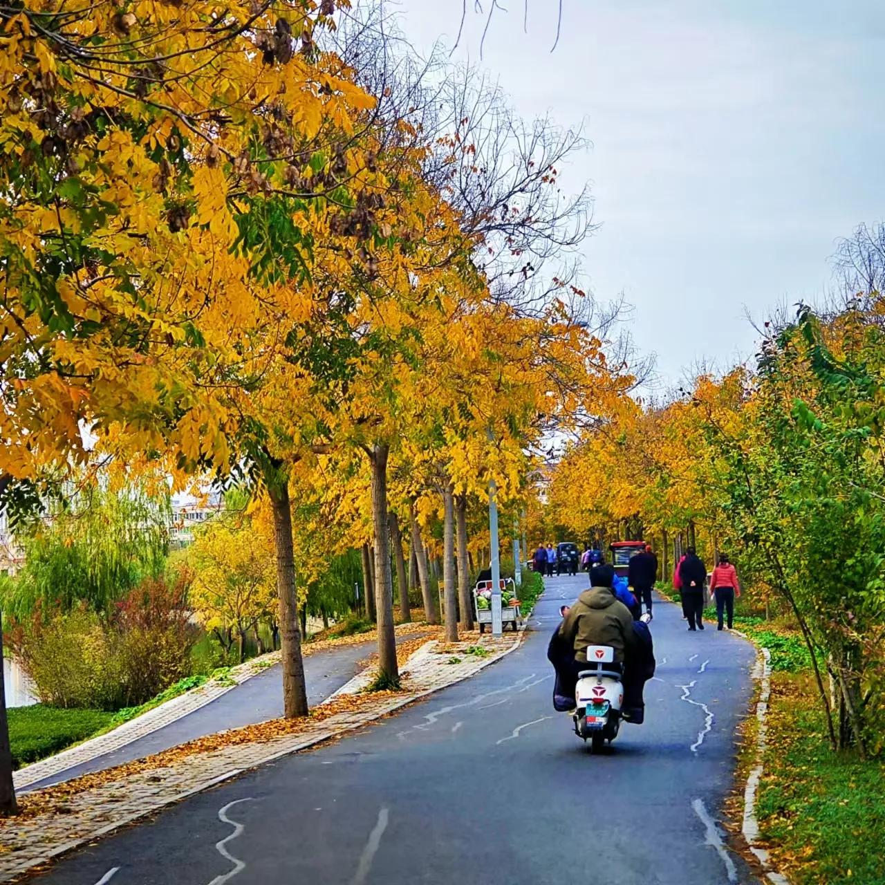 秋风，落叶🍂
随手捡起一片落叶
便似把秋天捧在了手心里

秋风，落叶🍂
随风