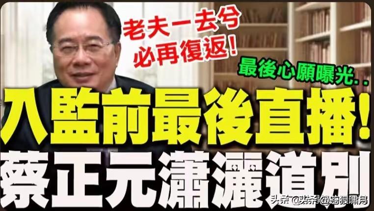 蔡正元要去坐牢！苍狼看到两篇文章，一个是“彼得堡肥天鹅”，另一个是网友“火星”。