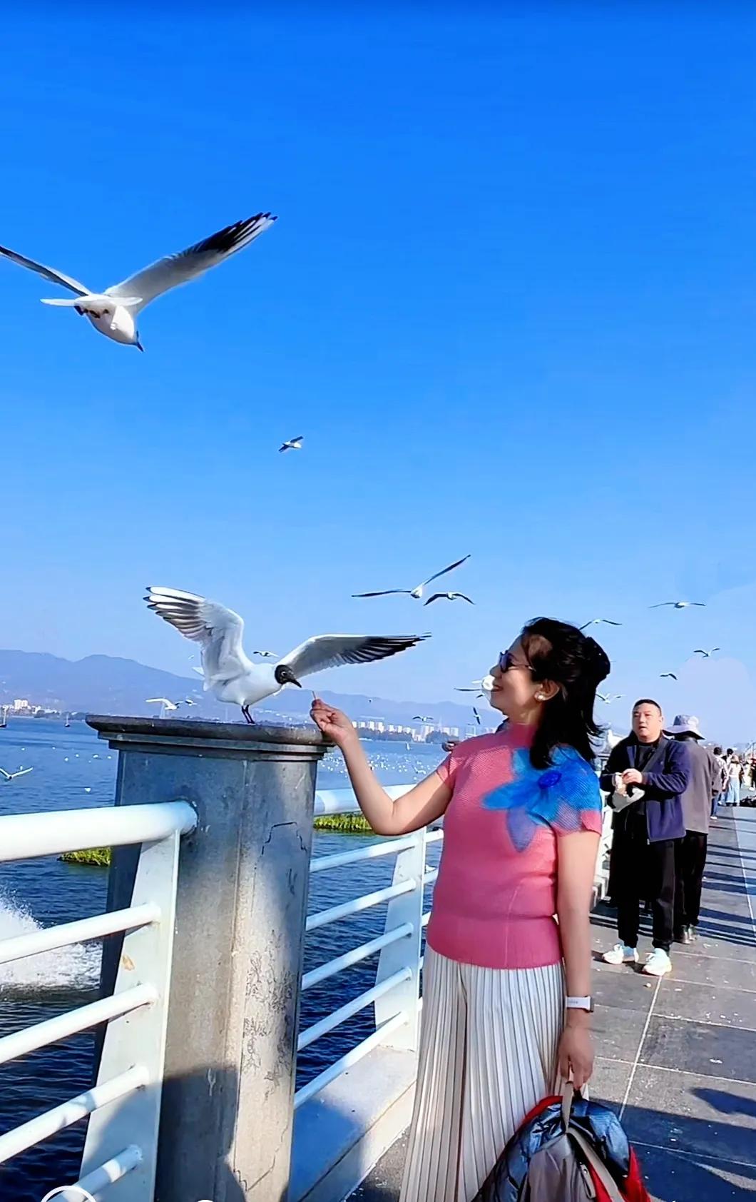 第一缕阳光洒在海埂大坝上
滇池，宛如一条长龙
静静地伫立在湖面上
澄清的湖水，波