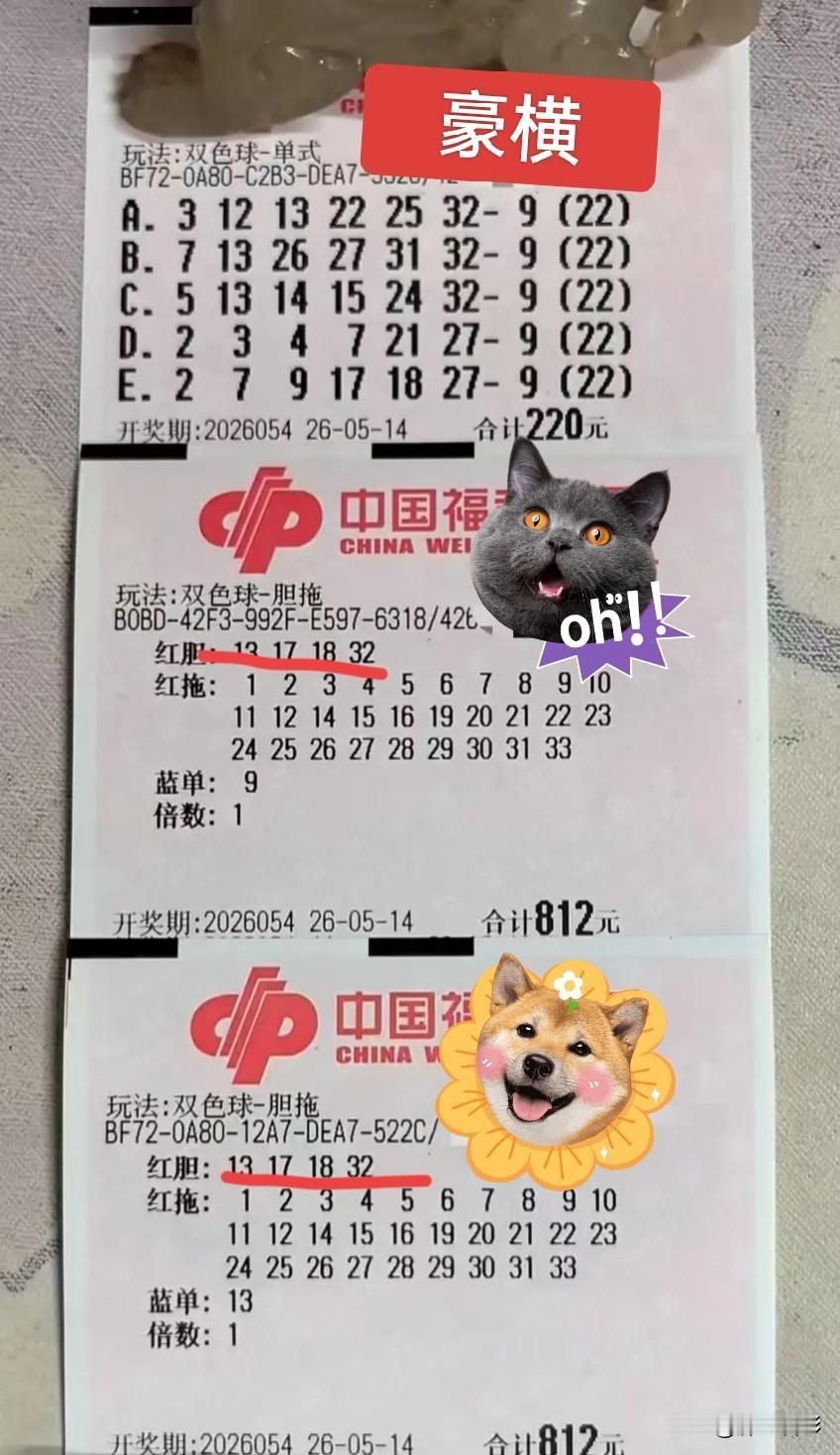 貔貅哥继续追逐蓝球9，不仅跟万元票的蓝球一样，而且红球13 17 32三个胆码也