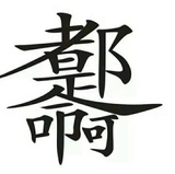 小白鸥爱谈汽车