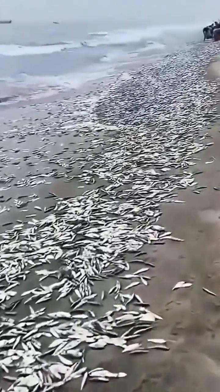 最开心我在家。