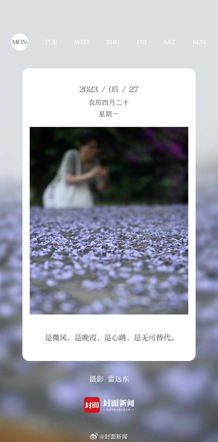 #小封日历# 早上好~今天周一，你状态咋样？[太阳] ​​​