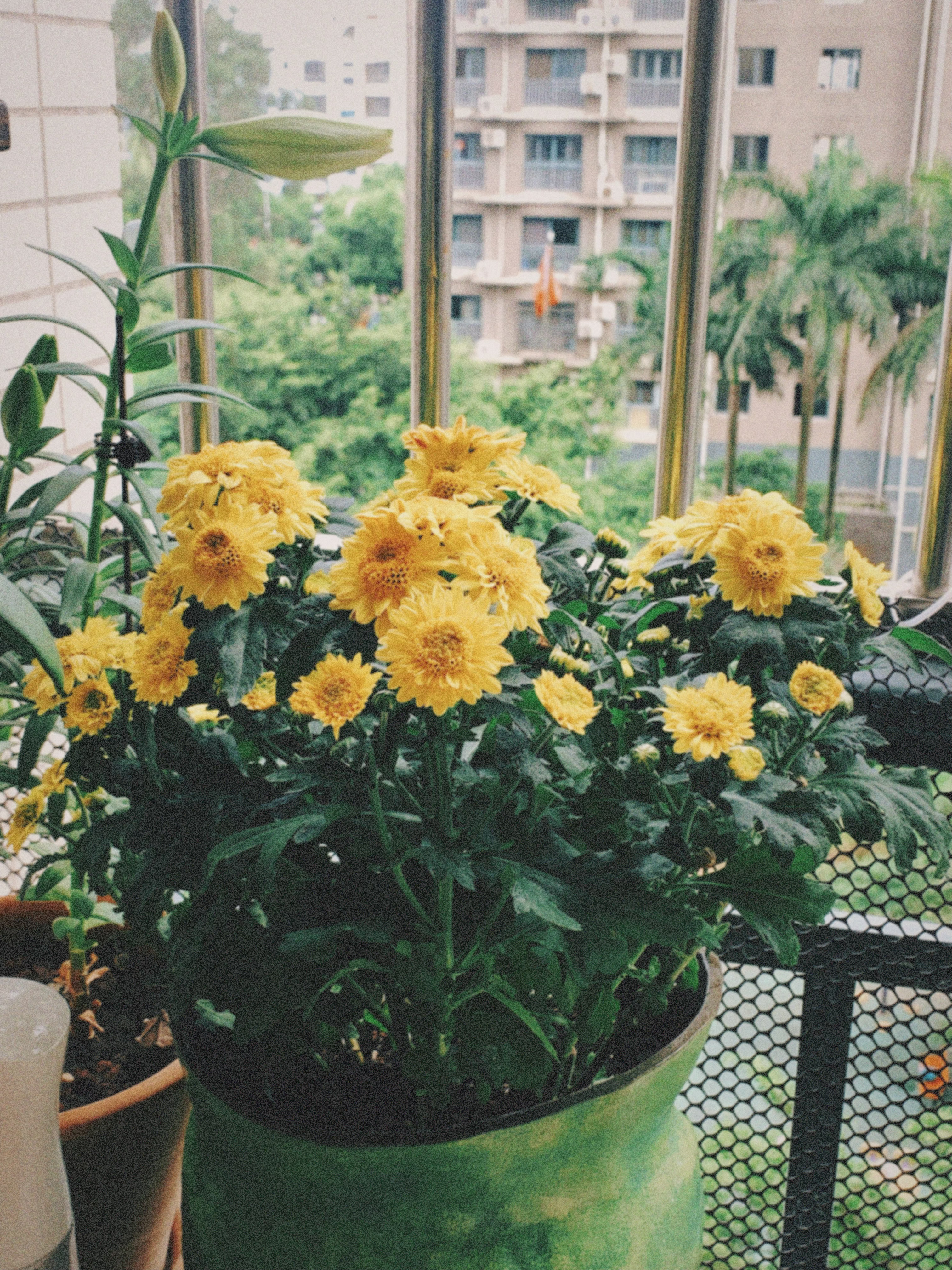 难过(◍•﹏•)吃不下早餐 