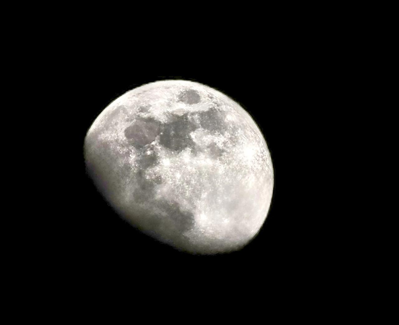 月光轻柔地抚摸着梅花的脸庞，轻声问道：“在这冰天雪地之中，你为何独自绽放？”梅花