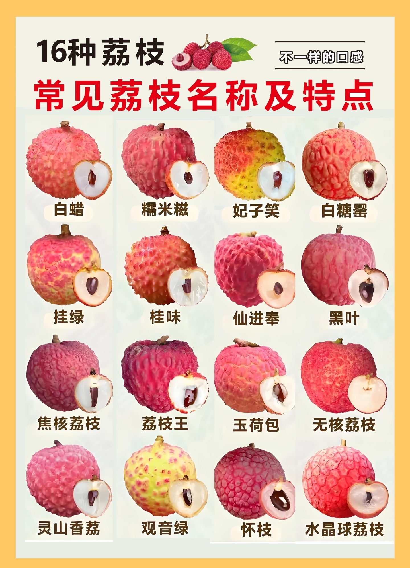 荔枝 低血糖大家觉得哪种最好吃[喵喵]，我喜欢白糖罂！ ​​​