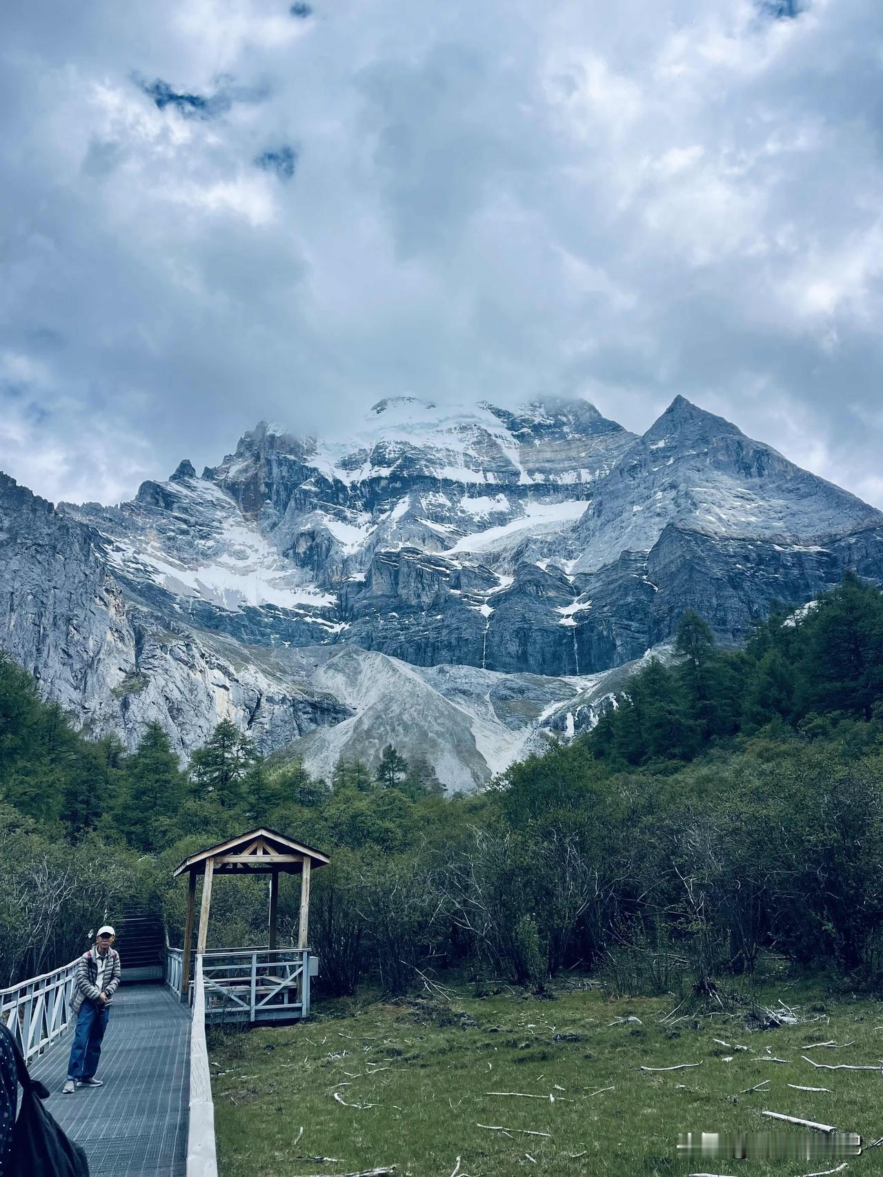 稻城亚丁的雪山、树、花和动物都非常美。